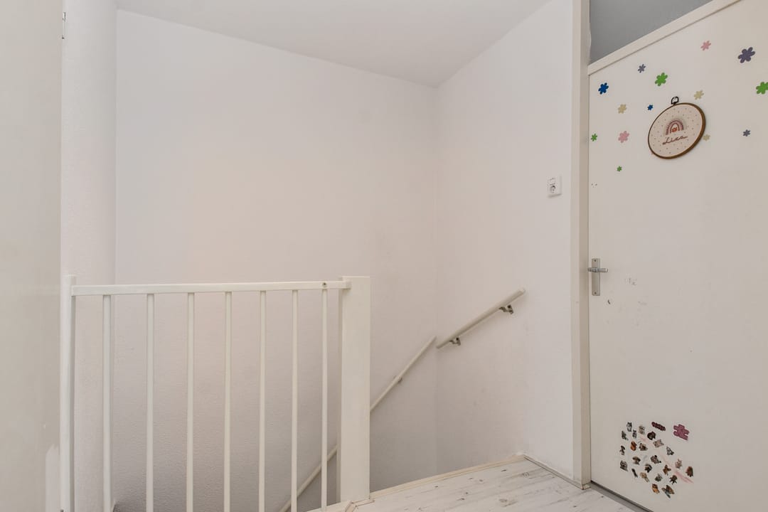 Photo 16 of Regulus 26