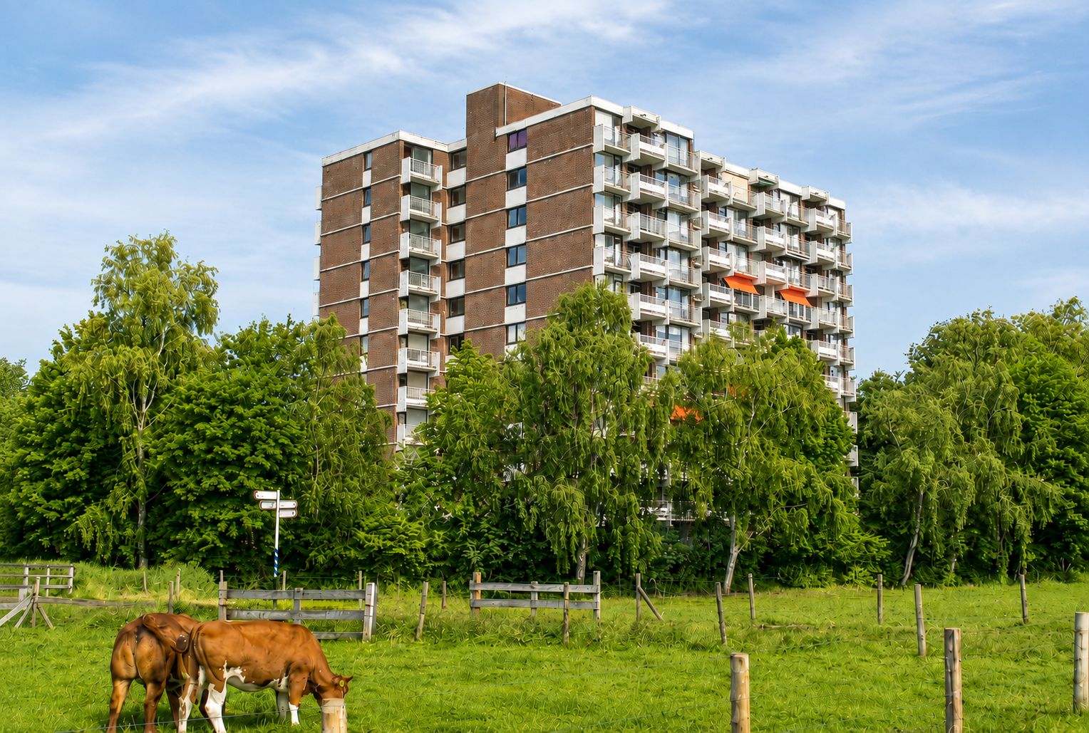 Kringloop 355 