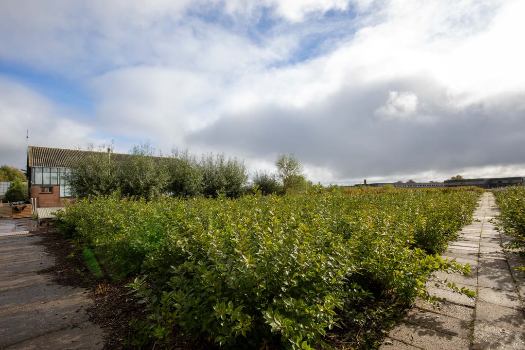 Photo 76 of Oosteinderweg 116