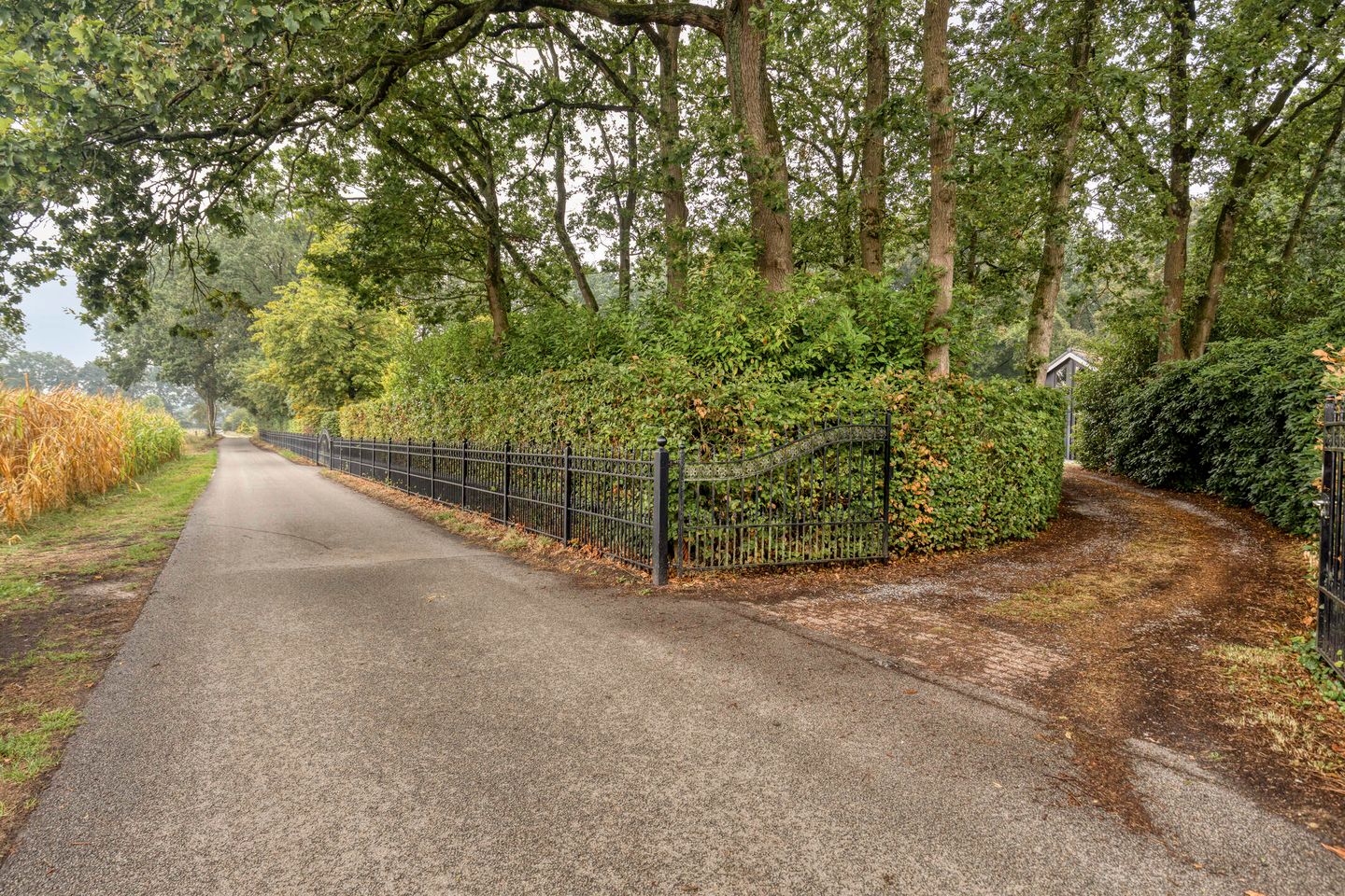 Foto 55 van Steenvoortseweg 2-A