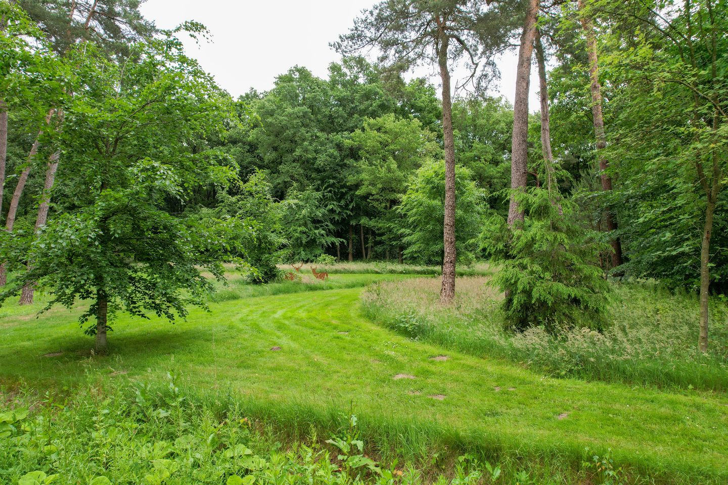 Foto 4 van Zuiderveldweg 18-A