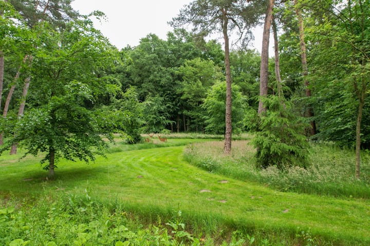 Foto 4 van Zuiderveldweg 18-A