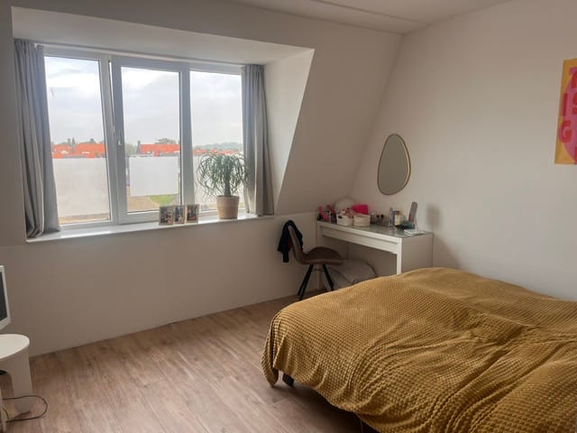 Foto 4 van Singel 398