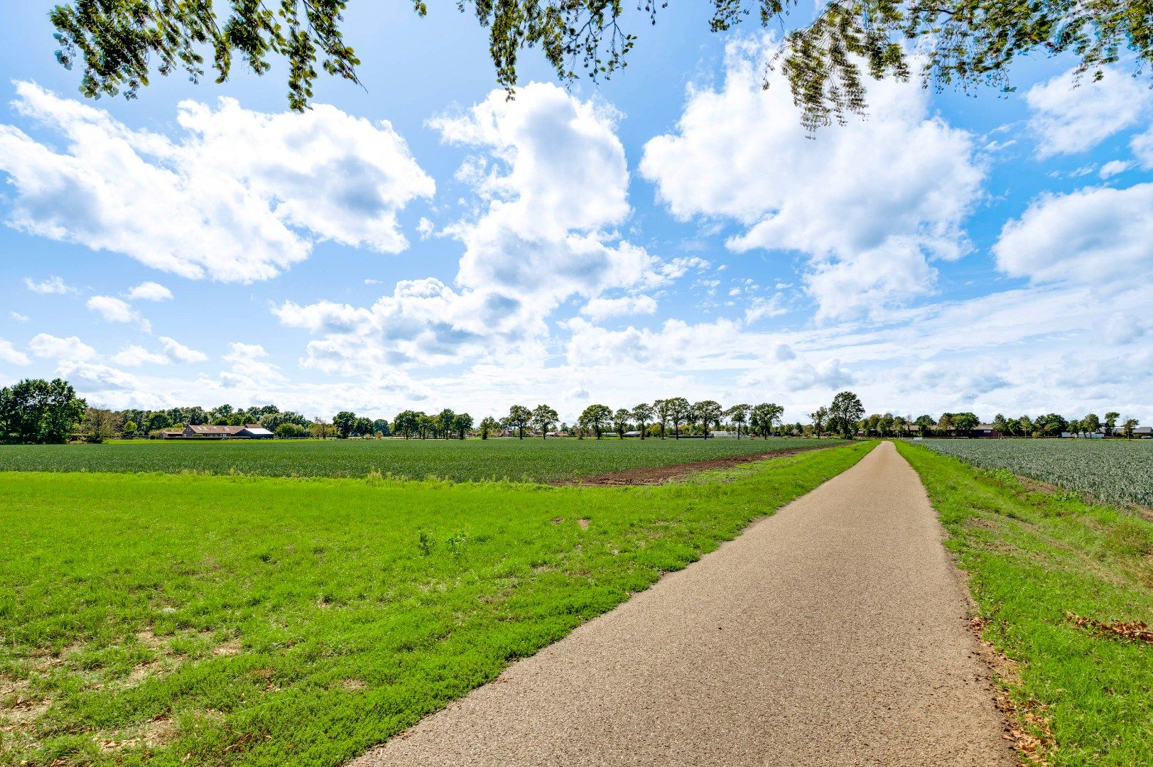 Photo 33 of Wisbroek 2-A