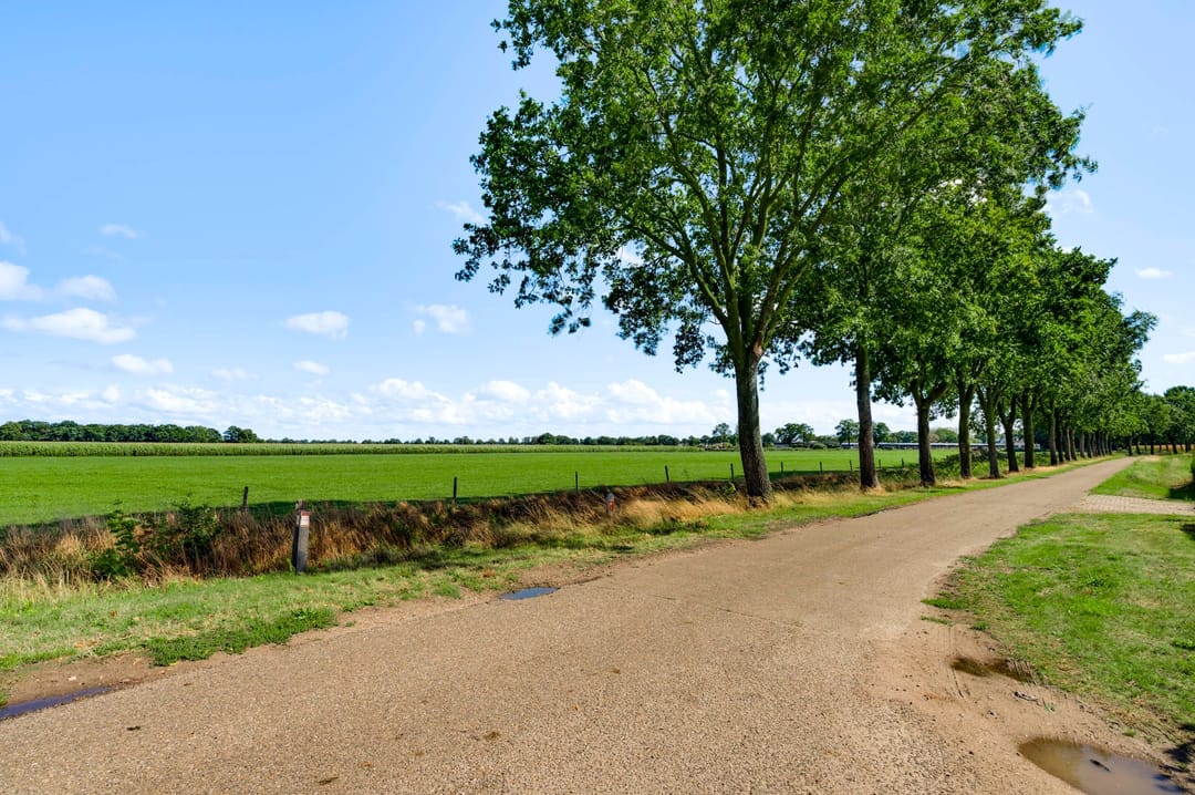 Photo 32 of Wisbroek 2-A