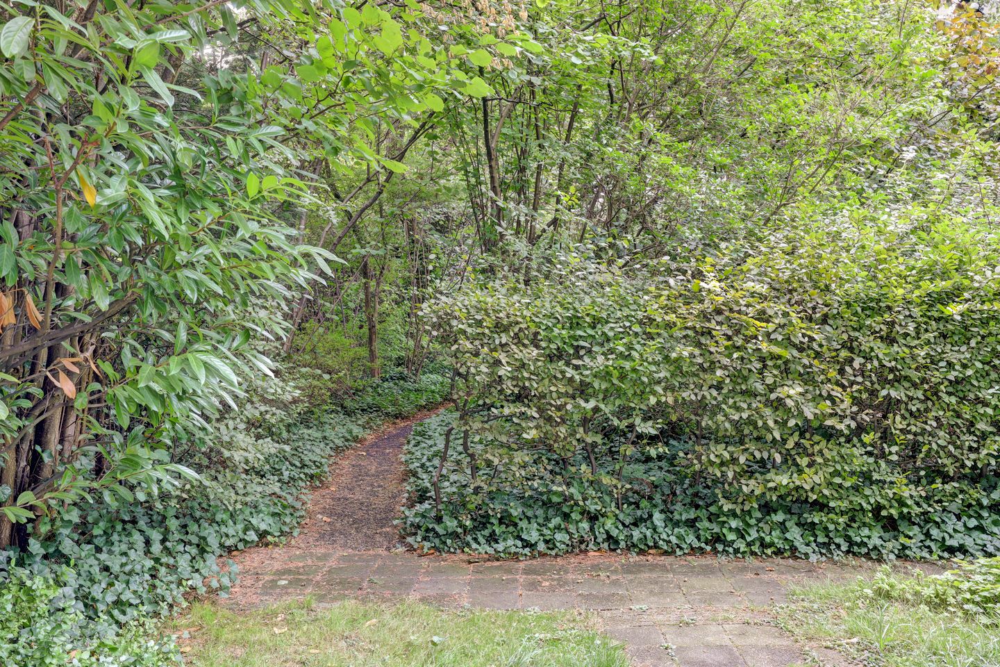 Foto 25 van Schiekade 27-C