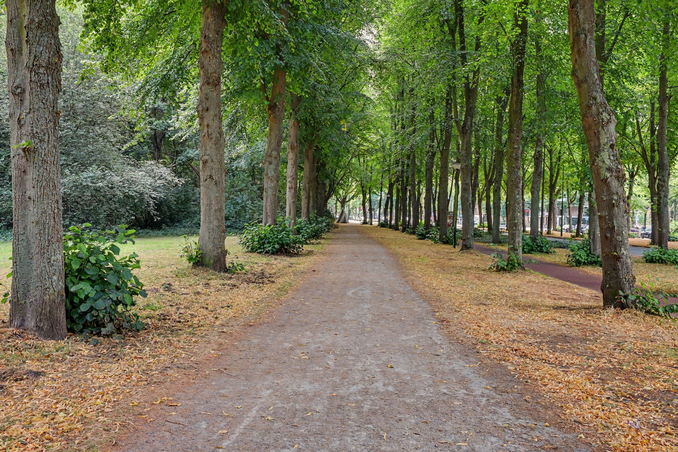 Photo 36 of Cromhoutlaan 14