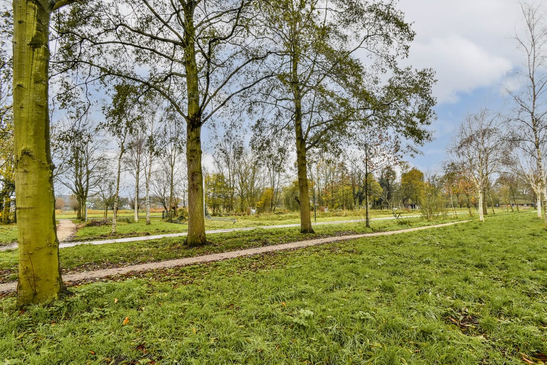 Foto 41 van Vlasakker 80