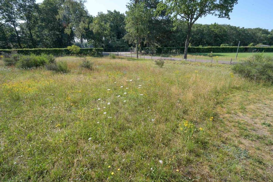 Foto 46 van Dorpsstraat 7