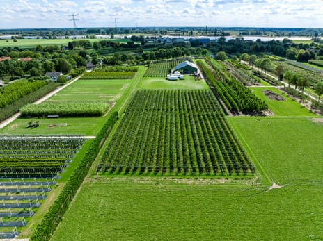 Bekijk foto's