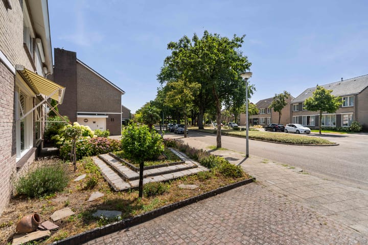 Foto 4 van Moeselplein 3