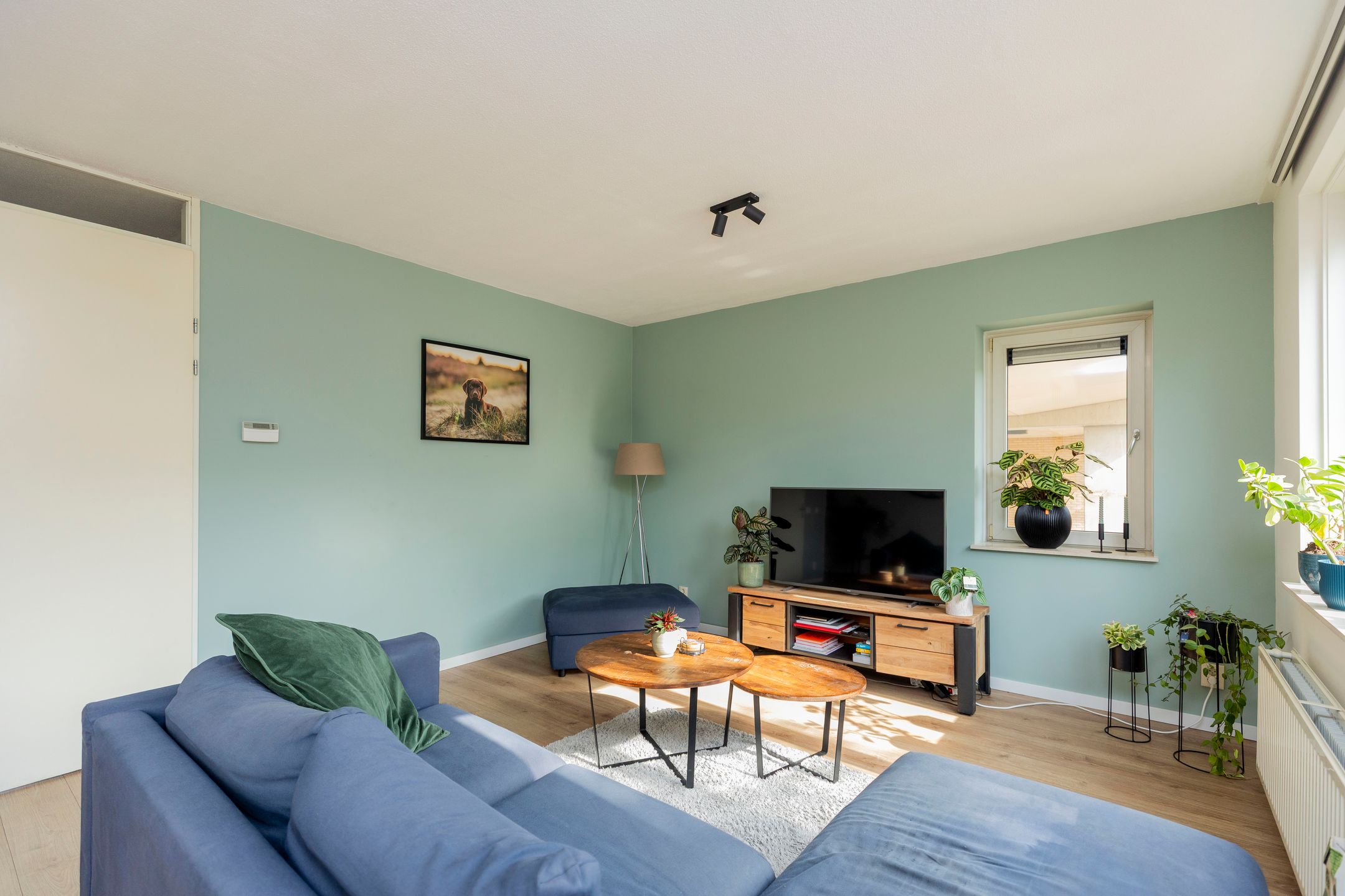 Photo 9 of Avenue Carré 17