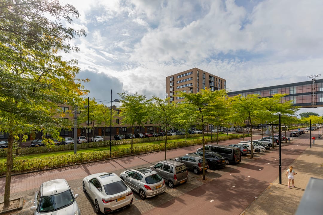 Photo 23 of Avenue Carré 17
