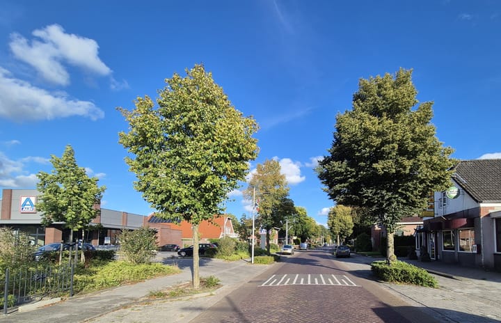 Wilhelminastraat 20, Vlagtwedde