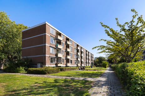Zocherstraat thumbnail