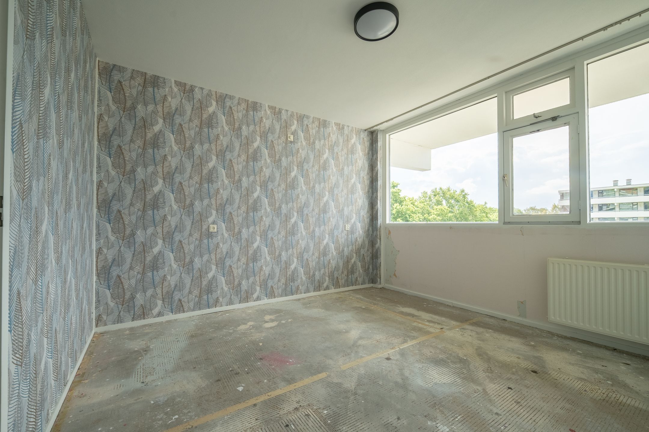 Photo 15 of Pollux 289