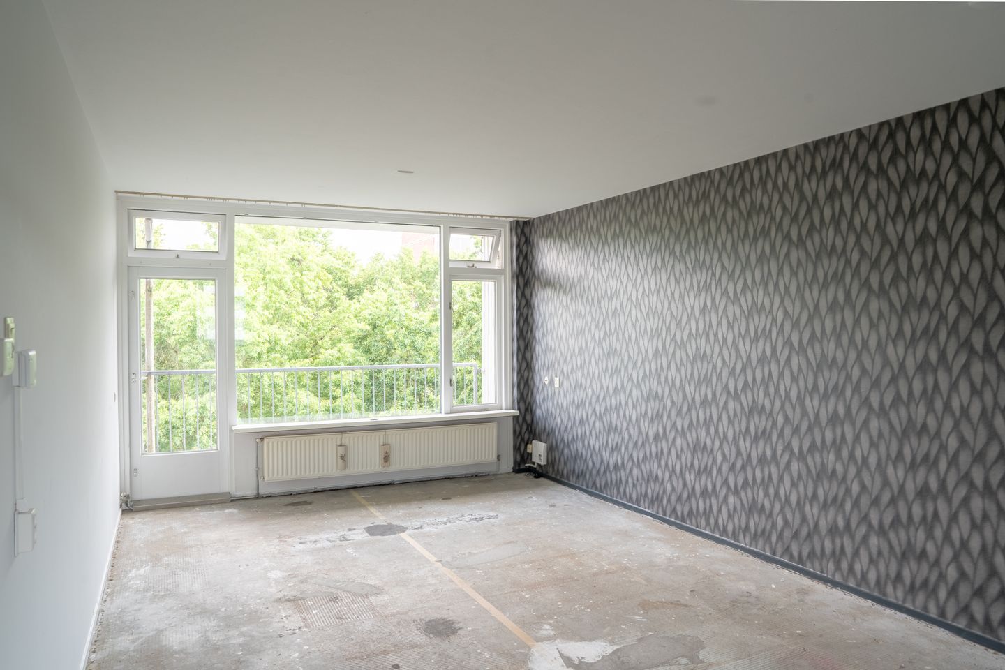 Photo 10 of Pollux 289