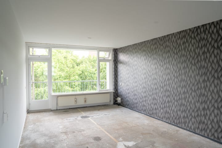 Photo 4 of Pollux 289