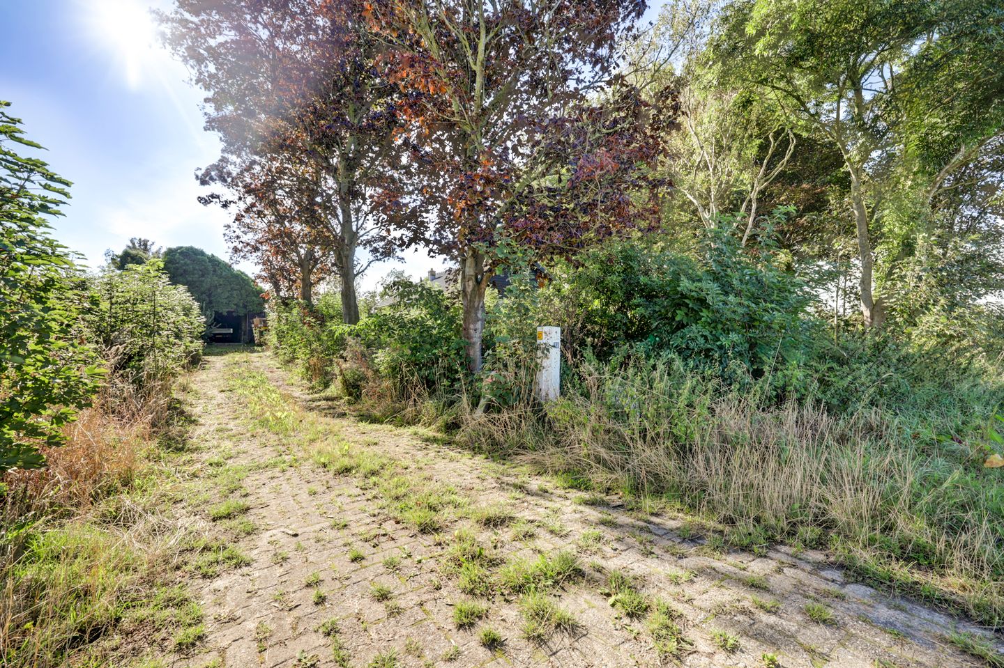 Foto 4 van Rendierweg 27
