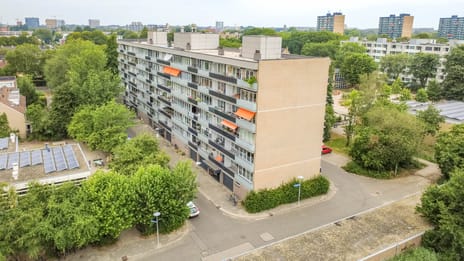 Rümkelaan thumbnail