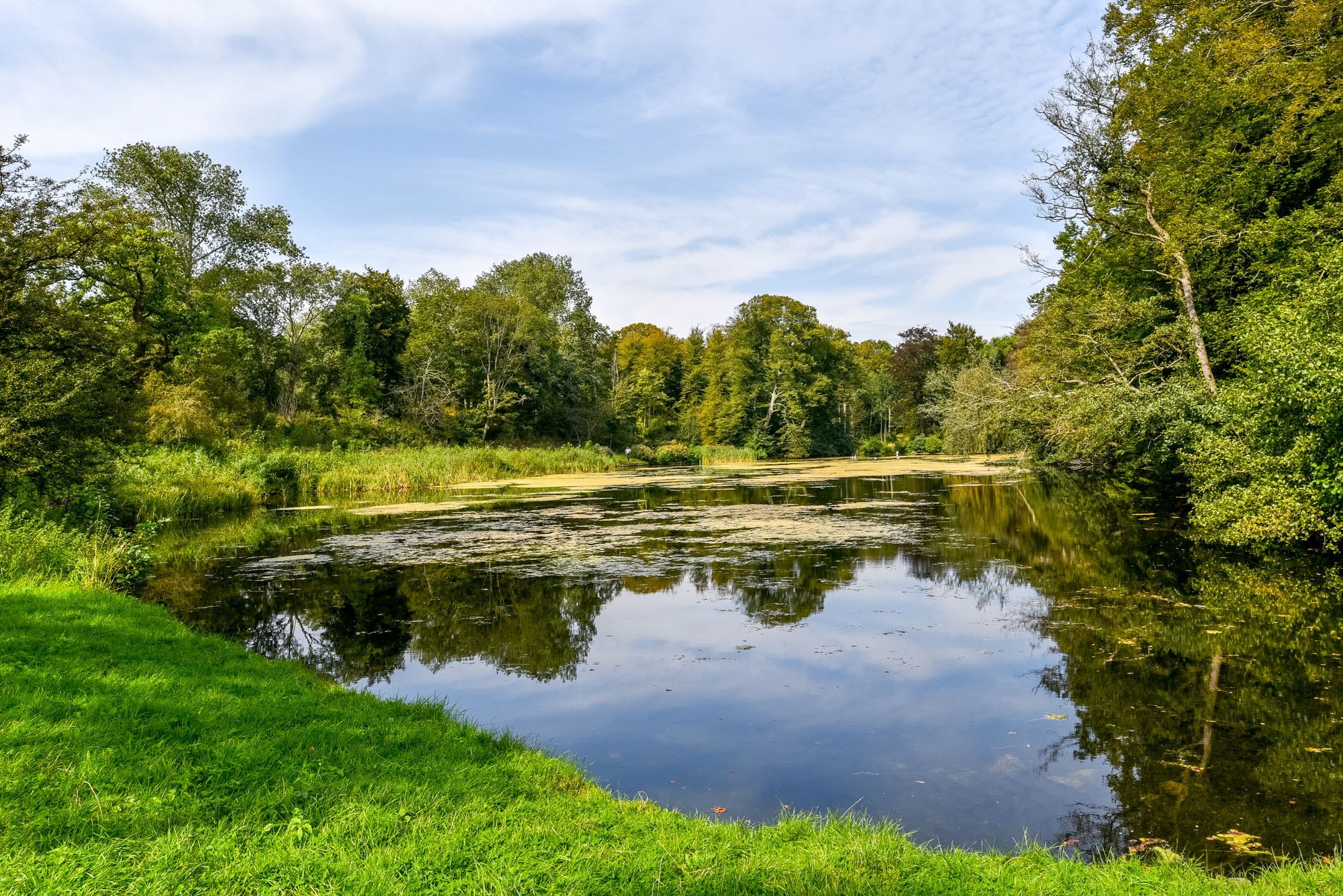 Photo 33 of Bloemveldlaan 18