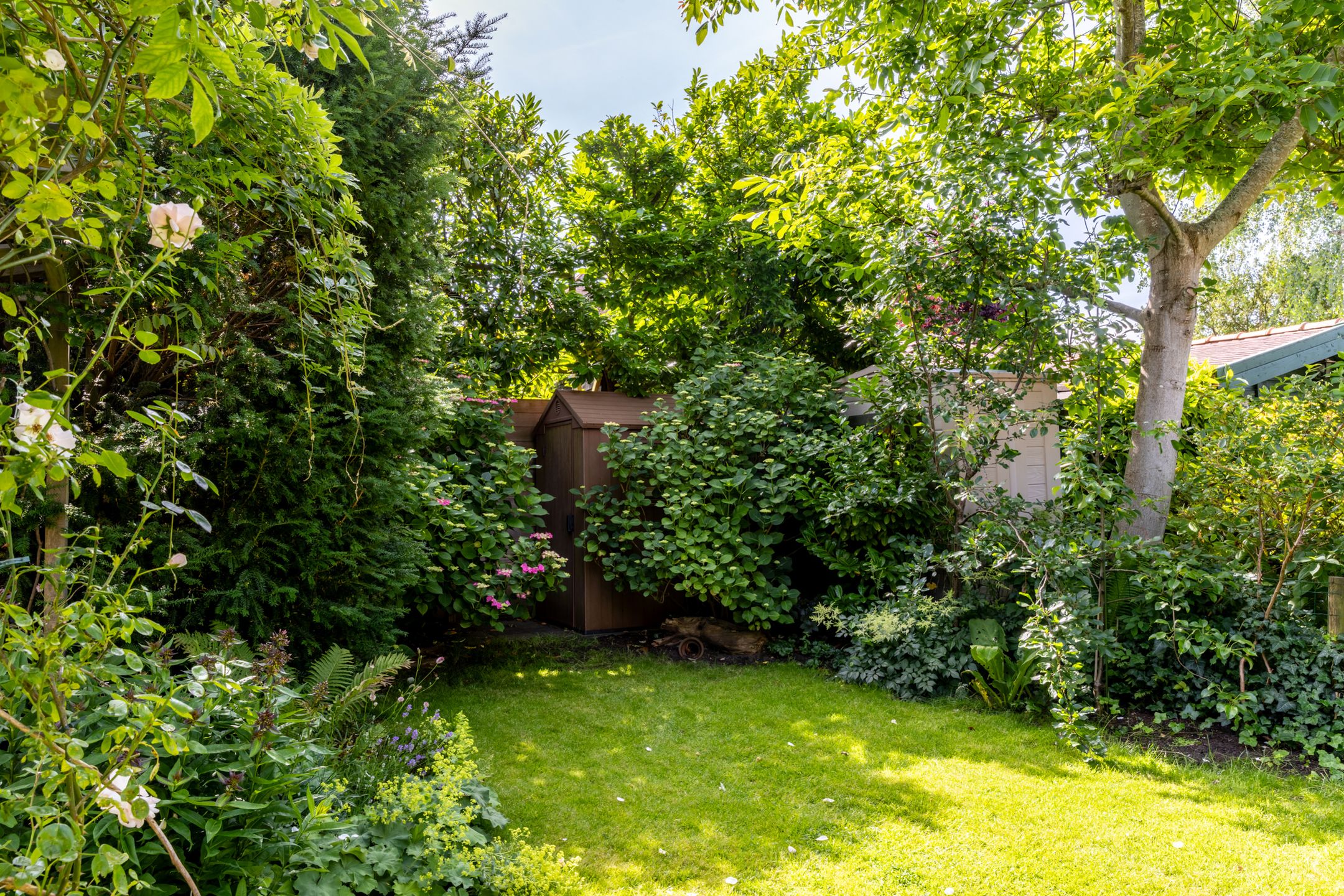 Photo 18 of Bloemveldlaan 18
