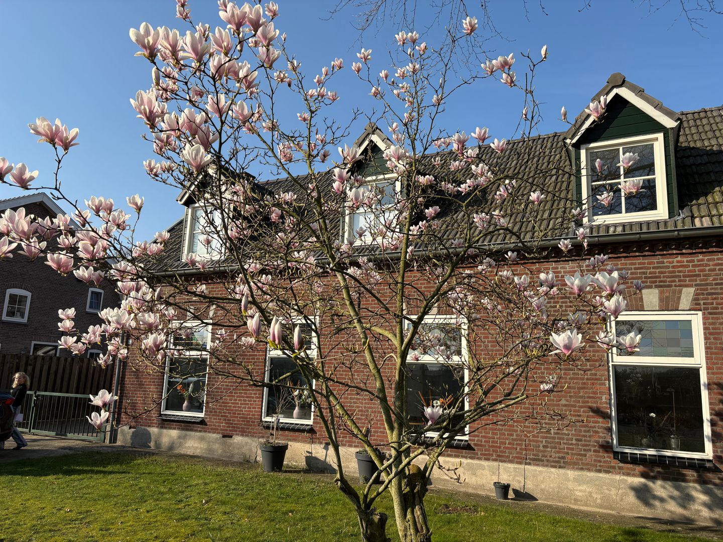 Photo 1 of Pastoor van Winkelstraat 63