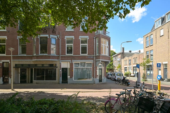 Foto 3 van Weteringplein 2