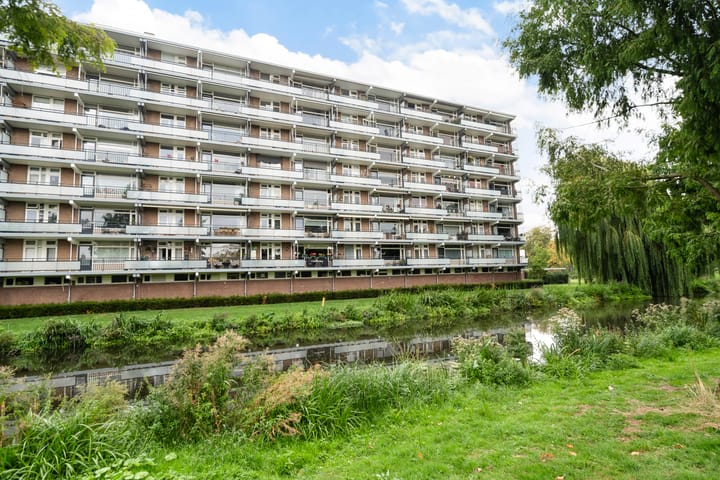 Alkenoord 40