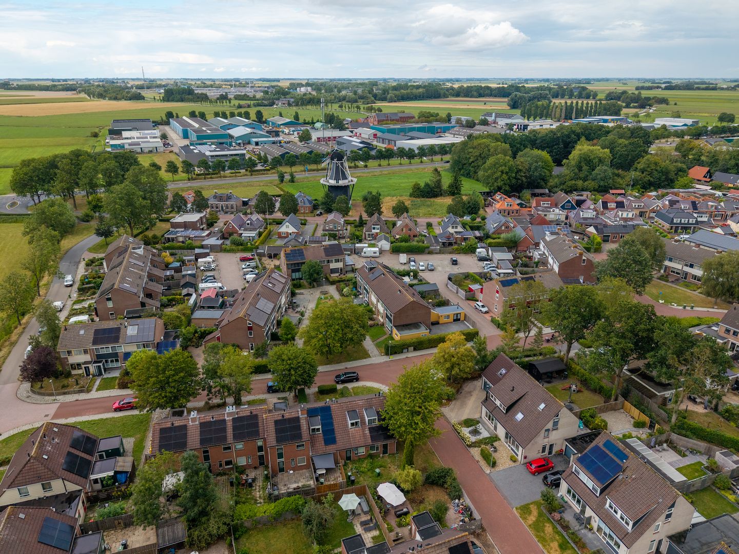 Photo 65 of Patrijs 2
