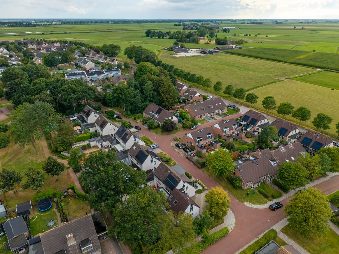 Photo 67 of Patrijs 2