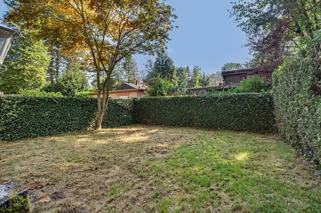 Photo 26 of Schaluinen 11-B288