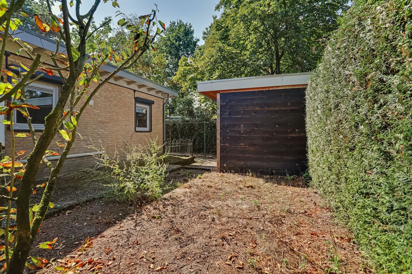 Photo 34 of Schaluinen 11-B288