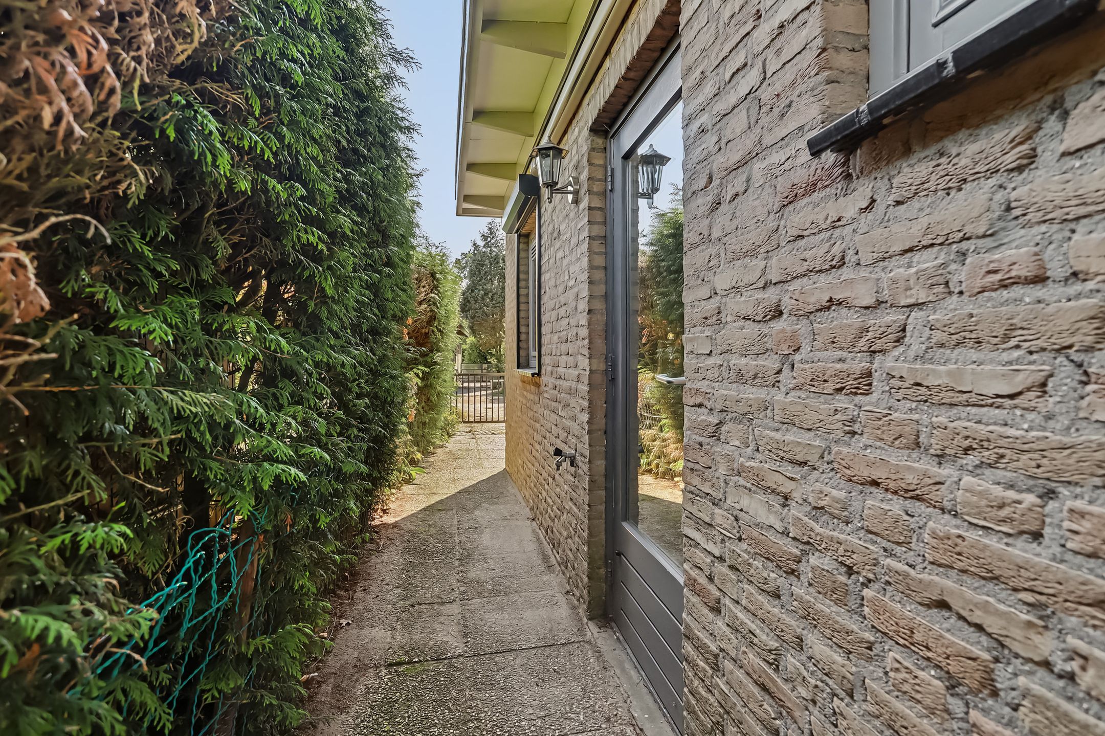 Photo 33 of Schaluinen 11-B288