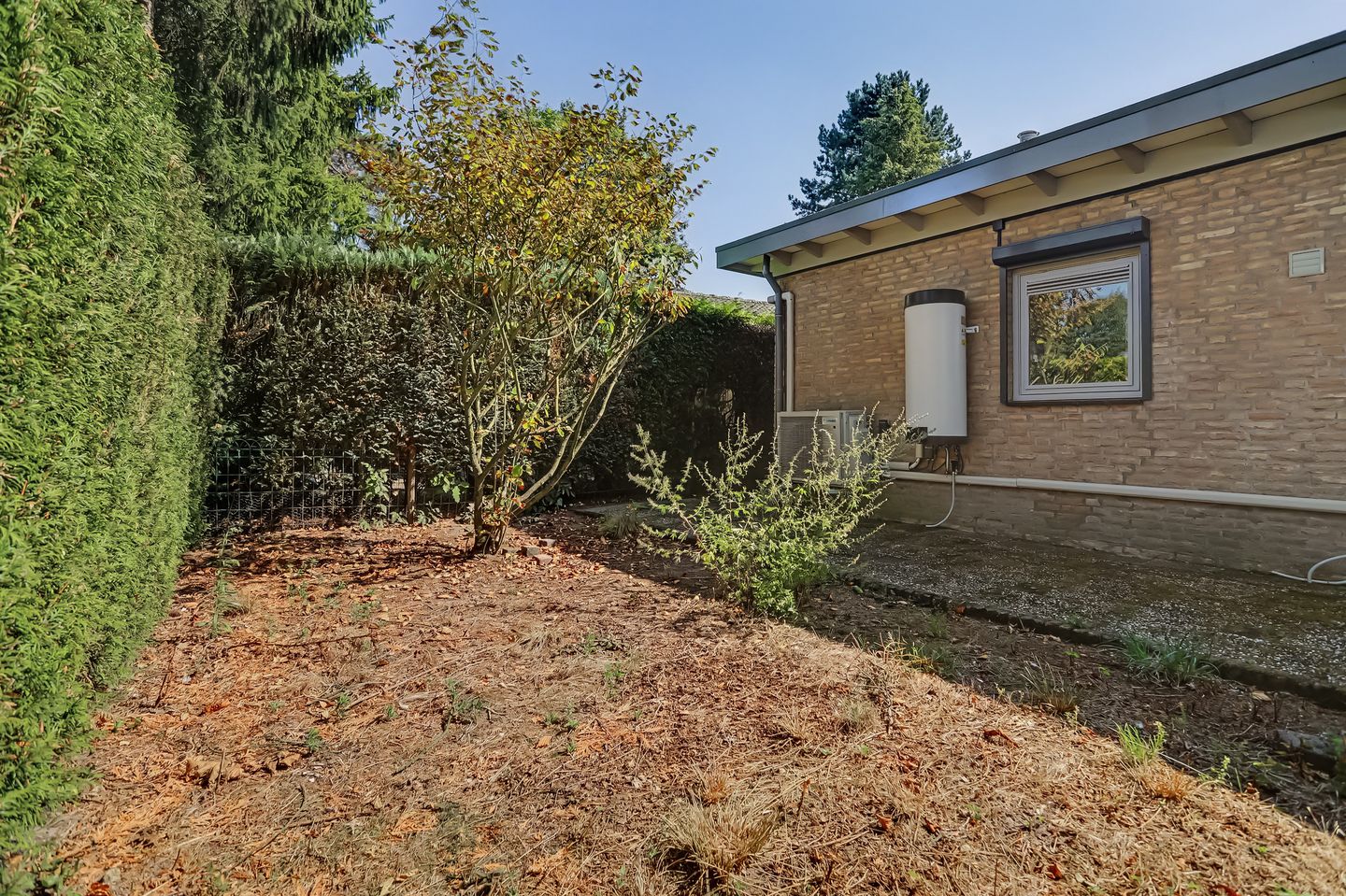 Photo 29 of Schaluinen 11-B288