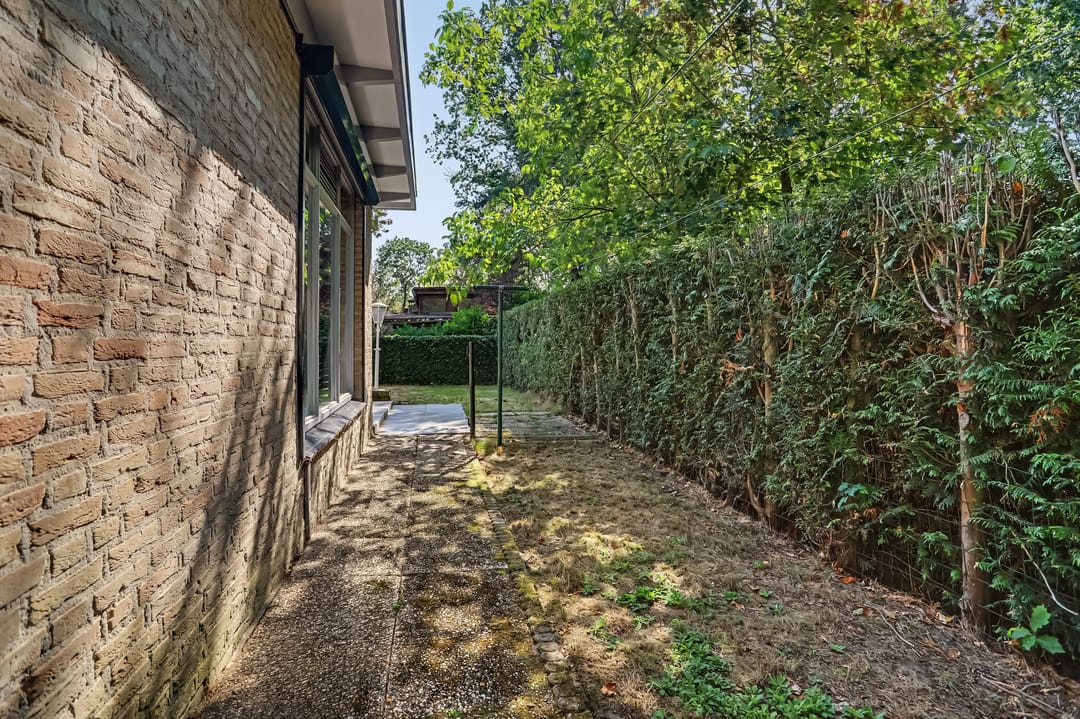 Photo 31 of Schaluinen 11-B288