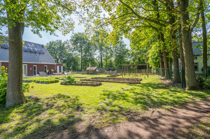 Foto 4 van Veenakkers