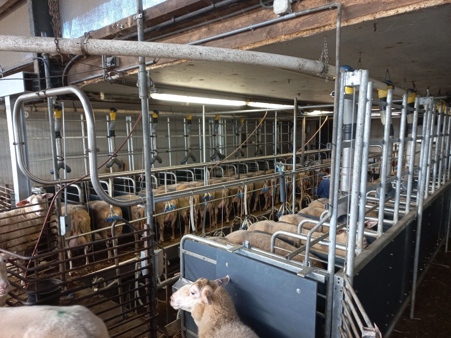 Bekijk foto 5 van Driehuizen 35