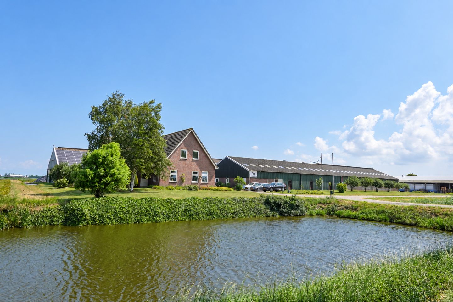 Bekijk foto 1 van Driehuizen 35