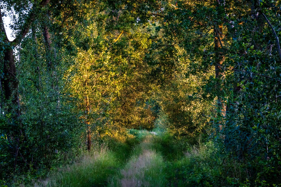 Photo 8 of Kaathoven