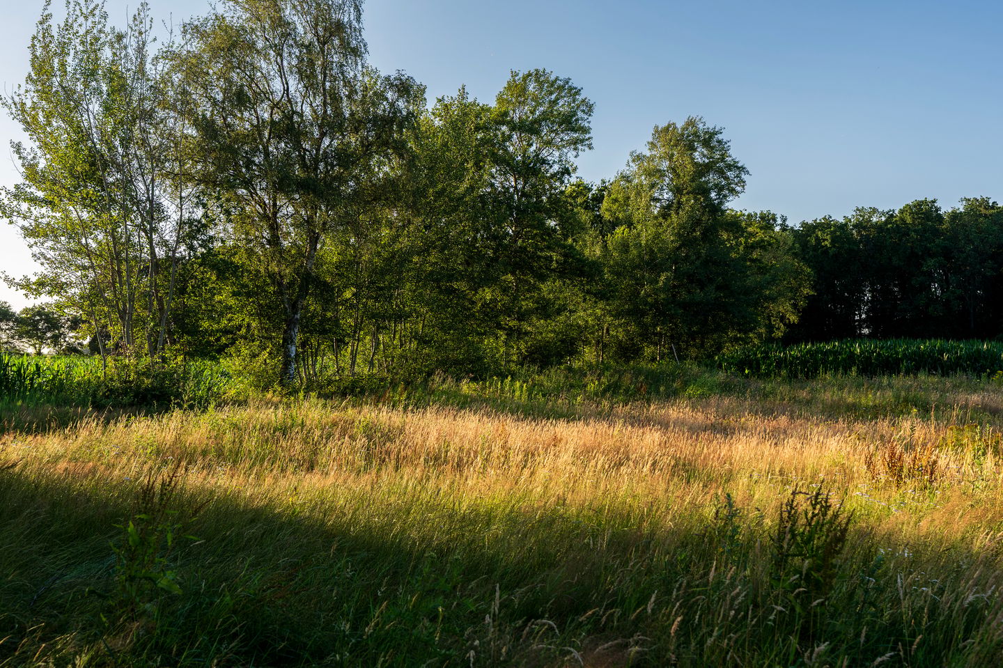 Photo 5 of Kaathoven