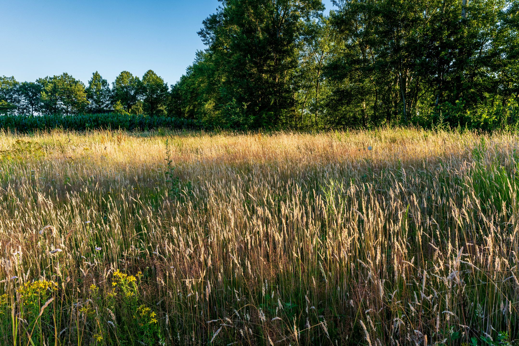 Photo 6 of Kaathoven