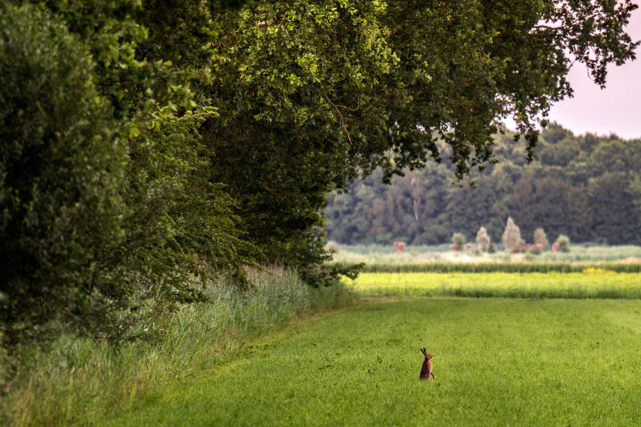 Photo 9 of Kaathoven