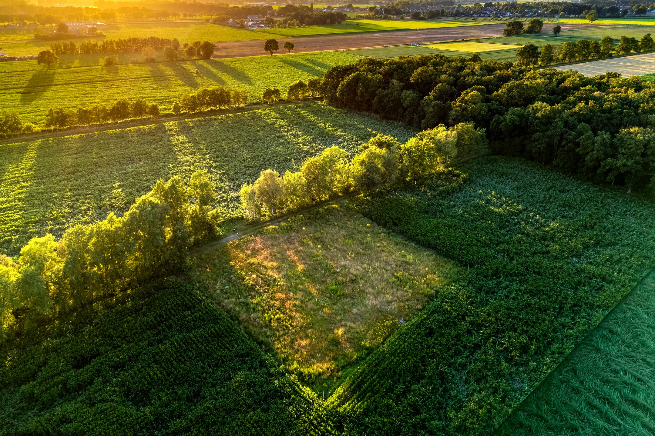 Kaathoven