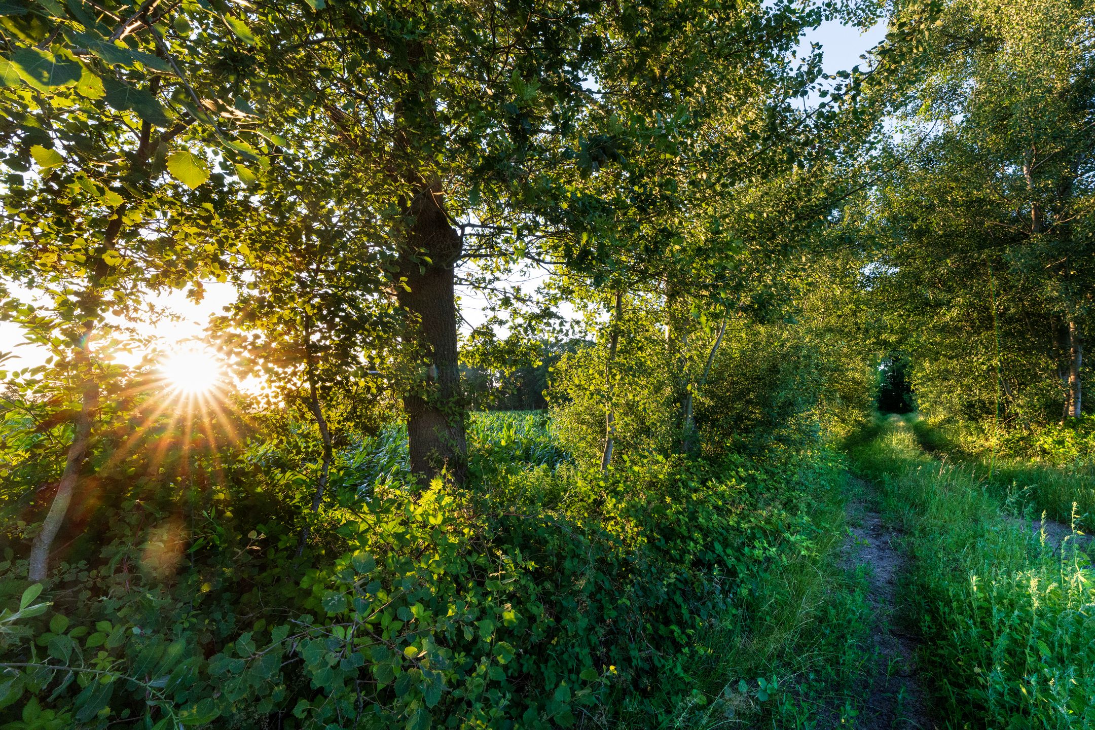 Photo 12 of Kaathoven