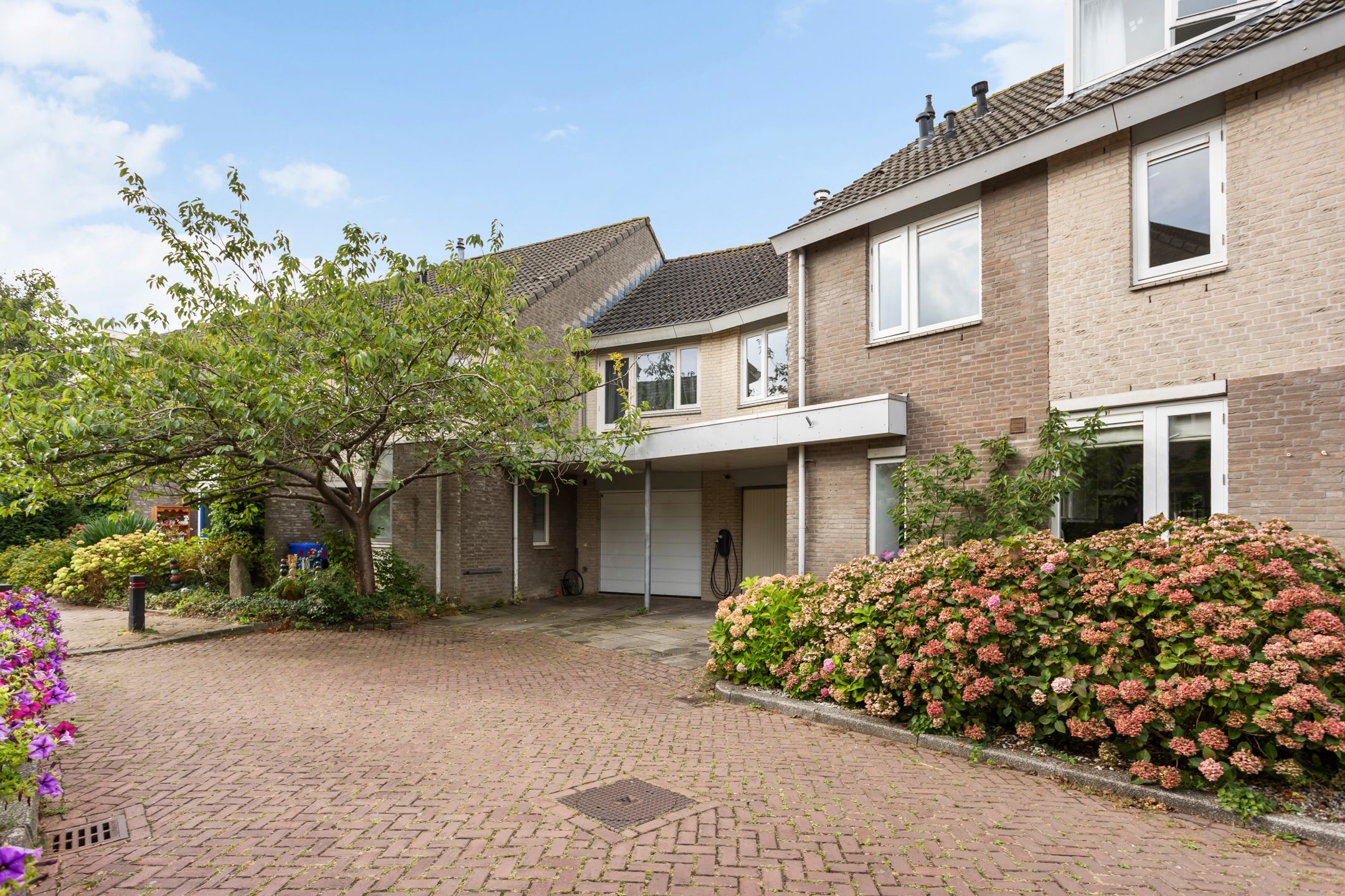Photo 63 of Teun de Grooterf 13