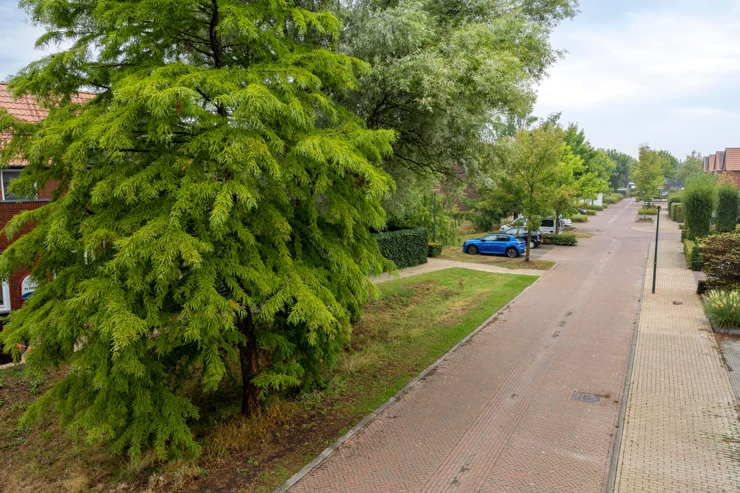 Foto 41 van Beekveld 61