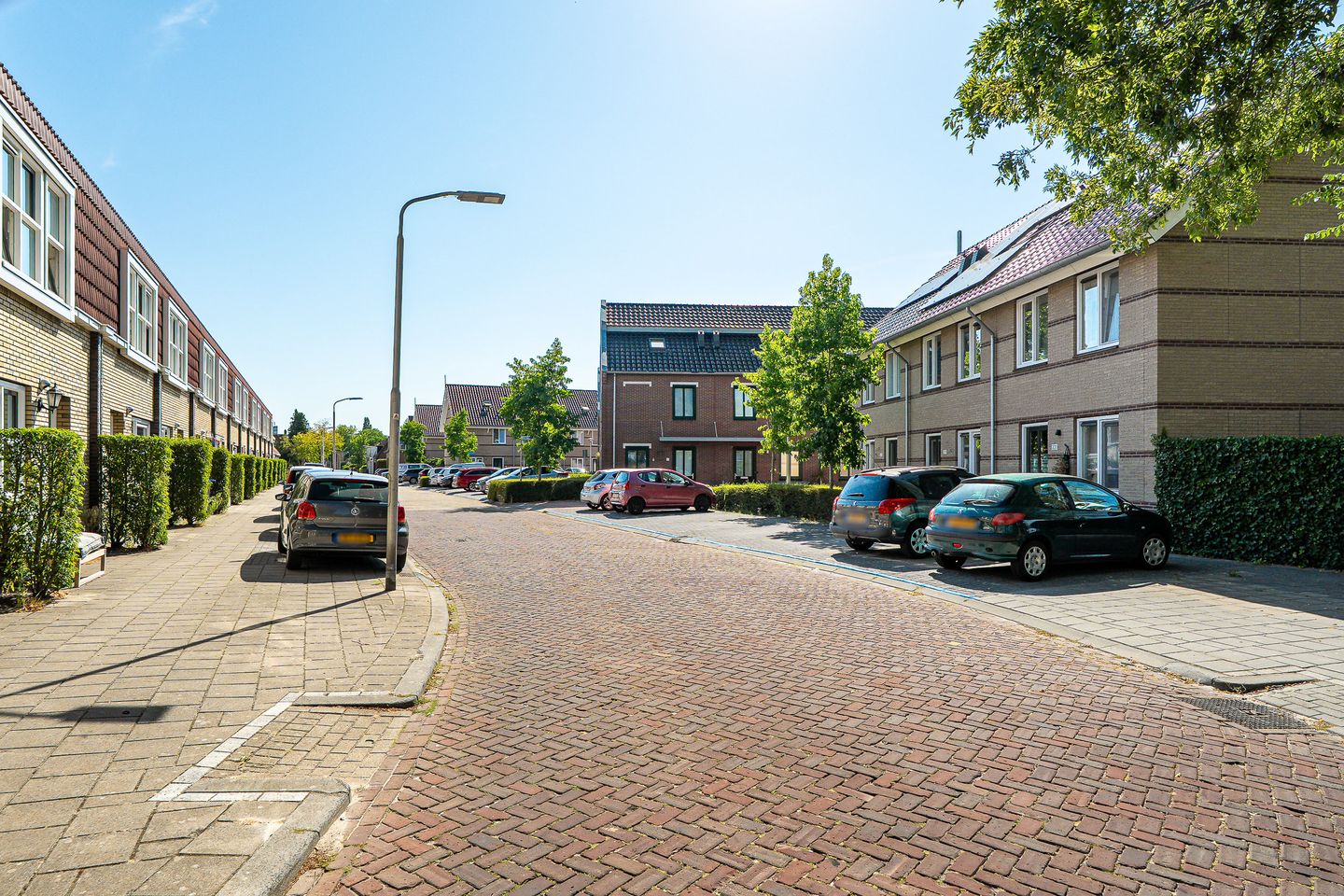Foto 49 van Oldegalileën 219