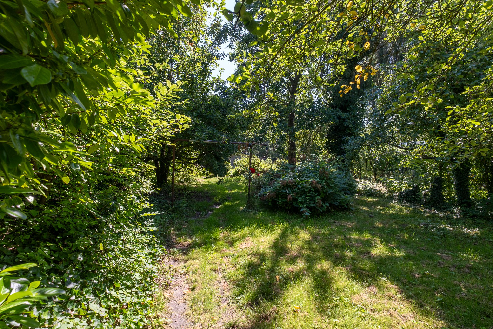 Photo 39 of Uiterburen 36