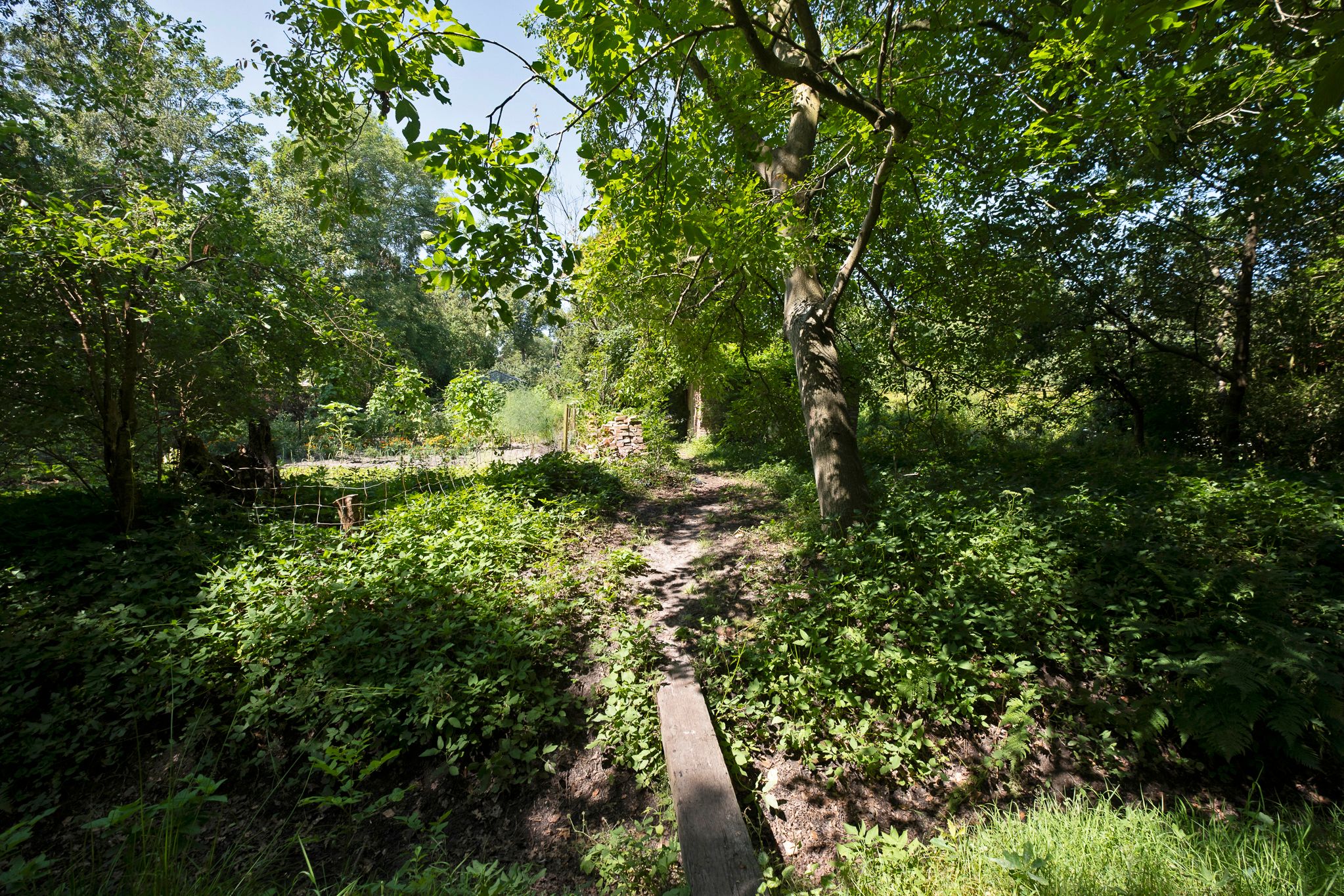 Photo 45 of Uiterburen 36